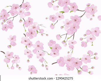 Сherry blossom. Branch with pink blooming flowers. Sakura flowers seamless pattern. 