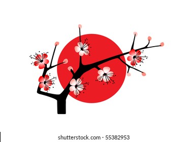 blossom cherry