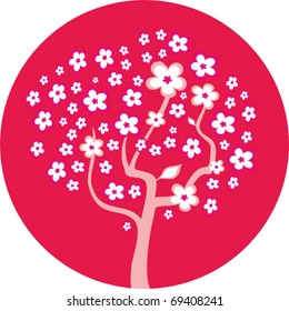 blossom cherry