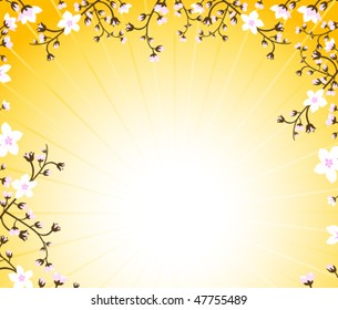 blossom cherry background