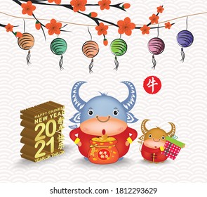 Blossom chinese new year 2021 lantern and background. Year of the Ox (Chinese translation Happy Chinese New Year, Year of Ox)