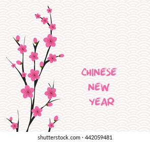 Blossom chinese new year and background