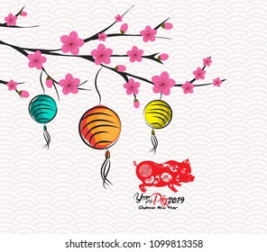 Blossom chinese new year lantern and background. Year of the pig