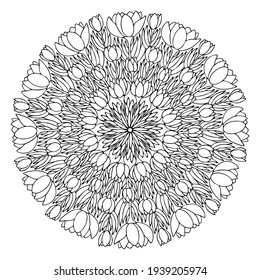 Blossom crocus flowers mandala line art stock vector illustration. Funny spring floral mandala black outline white isolated. Natural motif coloring book page for children and adults. One of a series