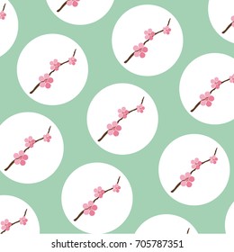 Blossom flower background, vector illustration, spring