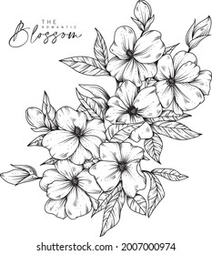 Blossom Flower Hand Drawn Sketch 2