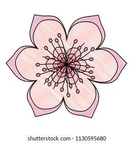 blossom flower icon