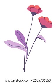 Blossom Of Flowers, Blooming Plant, Floral Arrangement Or Gift. Decorative Flowering Botany, Tulip Or Roses With Stem And Foliage. Leaves On Vegetation, Wildflower Bunch. Vector In Flat Style