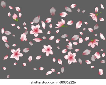 Blossom flowers, buds and petals flying vector background. Spring isolated elements on grey. Bloom parts confetti floral pattern.