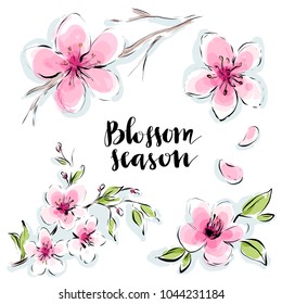 Blossom flowers isolated vector set drawn in watercolor style for spring greeting card design, botanical illustration, nature banner.