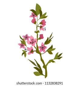 blossom flowers vector