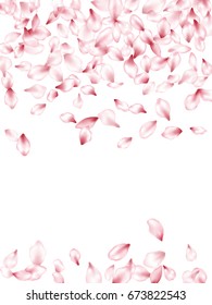 Blossom Flying Petals. Vector background of pink falling flower petal confetti background. Free space, white backdrop - place for text. Invitation template, spring holiday greeting card layout design.