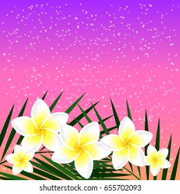 Blossom frangipani flowers and palm leaves on a pink sunset background. Tropical summer template for banner, card, invitation. Plumeria white flower and starry sky. Vector illustration EPS 10