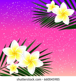 Blossom frangipani flowers and palm leaves on a pink sunset background. Tropical summer template for banner, card, invitation. Plumeria white flower and starry sky. Vector illustration EPS 10