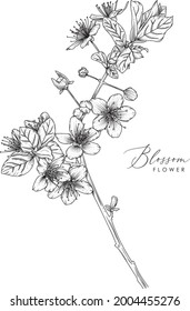 Blossom Hand Drawn Sketch Isolated Vector