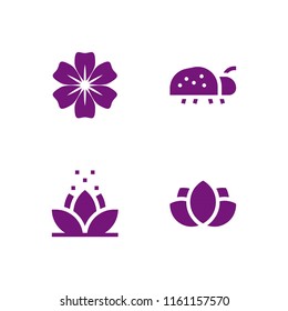 blossom icon. 4 blossom set with ladybug, lotus and flower vector icons for web and mobile app