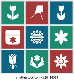 Blossom icons set. set of 9 blossom filled icons such as sunflower, flower, rose