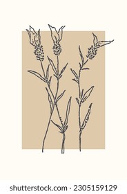 Blossom lavender stem aesthetic illustration poster. Botanical art