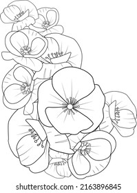 blossom poppy flower coloring page