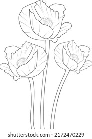 blossom poppy flower line art