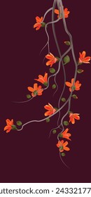 Blossom of the Red Silk Cotton Tree, The Latin name is Bombax Ceiba, Indian name Katesawar.