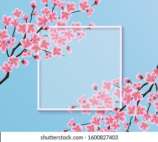 Blossom sakura or cherry flowers on a blank square frame vector illustration on a blue background. Floral backdrop or banner for invitations and promotion, web and prints.