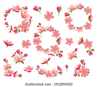 Blossom sakura, cherry flowers vector illustration set. Design elements isolated on white background.