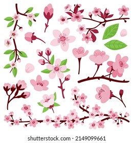 Blossom sakura flowers. Japanese sakura flower, flat cherry floral branches. Isolated asian garden elements. Spring apricot tree leaves neoteric vector set