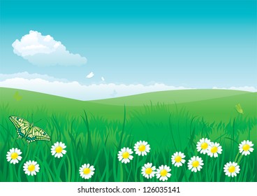 Blossom summer. Vector illustration of summer landscape with butterfly, many flowers on green grass and blue sky with fluffy clouds