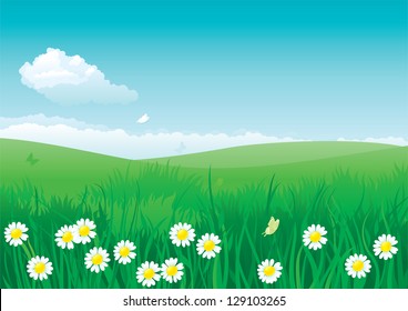 Blossom summer. Vector illustration of summer landscape with many flowers on green grass and blue sky with fluffy clouds