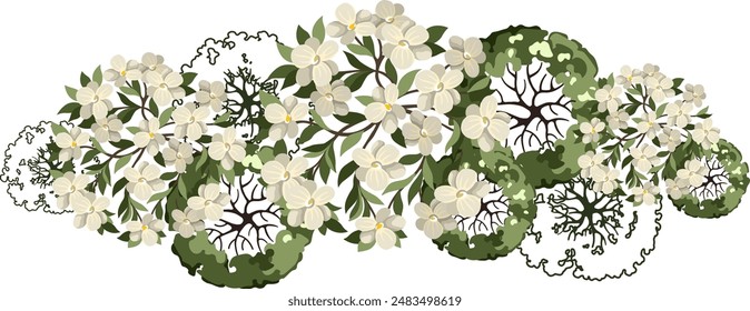 Blossom Tree for architectural floor plans. Entourage design. Various trees, bushes, and shrubs, top view for the landscape design plan. Vector illustration.