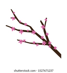 blossom tree branch icon over white background, colorful design. vector illustration