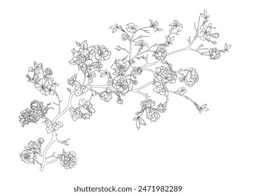 Blossom tree Clip art, set of elements for design Vector illustration. In chinoiserie, botanical style Isolated on white background.