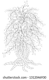 Blossom Tree. Coloring Book For Adult. Doodles For Meditation