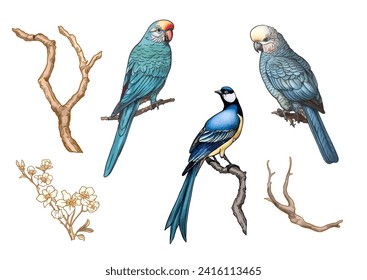 Árboles florecientes con aves tragan y loros. Establecer, elemento para el diseño. Ilustración vectorial. En Chinoiserie, estilo botánico