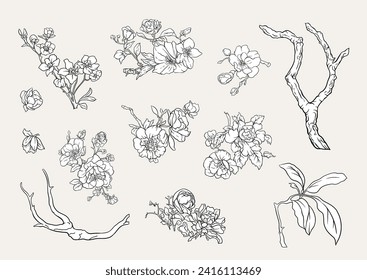 Blossom trees with birds swallow and parrots. Set, element for design. Vector illustration. In Chinoiserie, botanical style