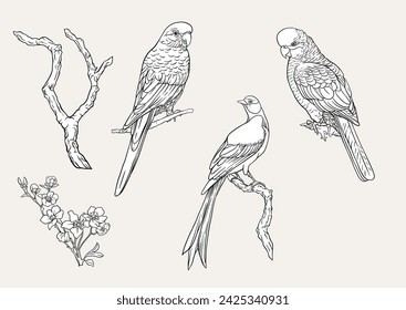 Árboles en flor con pájaros y loros. Conjunto, elemento para el diseño. Ilustración vectorial. En Chinoiserie, estilo botánico