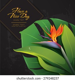 blossom tropical flower background 13