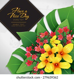 blossom tropical flower background 14