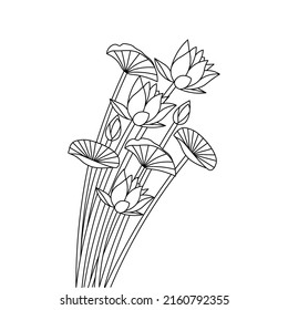 blossom water lily continuous line drawing coloring book page of detailed graphic design