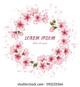 Blossom wreath, round vector flower garland. Spring greeting card, invitation, poster or banner template with pink blooming ring. Text place in cherry bloom frame, white background. Holiday decoration