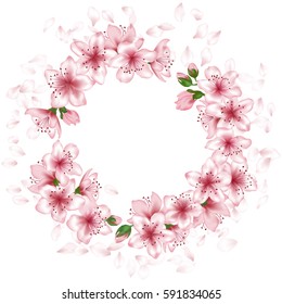 Blossom wreath, round vector flower garland. Spring greeting card, invitation, poster or banner template with pink blooming ring. Text place in cherry bloom frame, white background. Holiday decoration