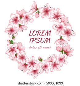 Blossom wreath, round vector flower garland. Spring greeting card, invitation, poster or banner template with pink blooming ring. Text place in cherry bloom frame, white background. Holiday decoration