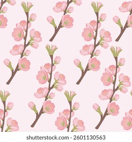 Blossomed apricot branch seamless pattern.Blooming floral plant, spring. Floral pattern for wallpaper or fabric. Vector Illustration