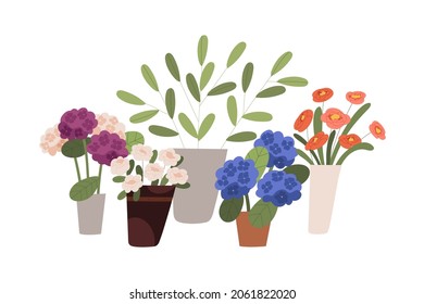 Blossomed flowers, floral and foliage plants in buckets, vases and pots. Modern blooming flora with fresh cut roses and hydrangea in flowershop. Flat vector illustration isolated on white background