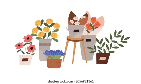 Blossomed flowers and foliage plants in pots, vases and baskets. Blooming floral bouquets composition. Flat vector illustration of modern flora in flowerpots and buckets isolated on white background