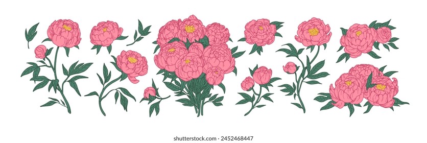 Blossomed peony flowers set. Japanese floral buds, plants, gorgeous bouquet. Beautiful Japan blooms in retro style. Realistic botanical hand-drawn vector illustrations set isolated on white background