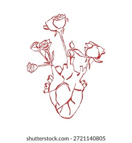 Un corazón humano anatómico floreciente. Ilustración de contorno de Vector, dibujado a mano en estilo vintage. Órganos del corazón y rosas. Diseño para el día de San Valentín, tatuaje, logotipo