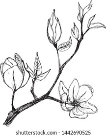 Blossoming apple tree branch on an isolated white background. Hand-drawn decorative flower. Element for design banner, greeting card.
