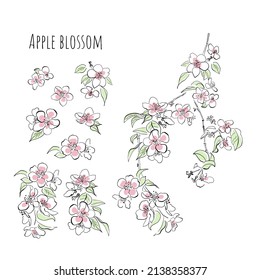 Blossoming apple tree set of decorative elements branch, blossom, leaves